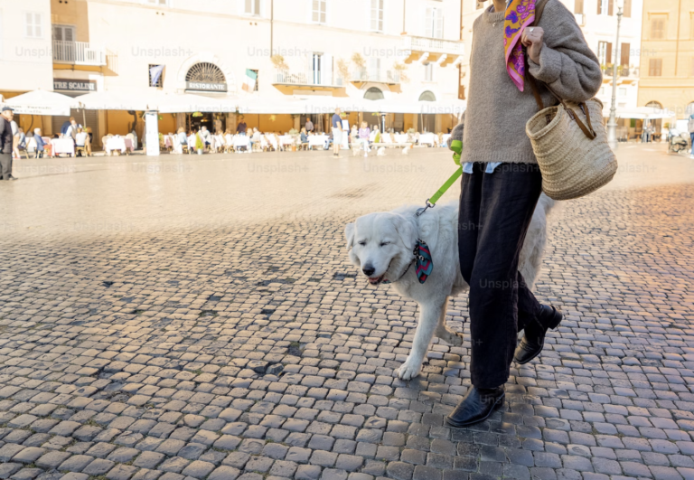 Dog friendly Hotel in Rome